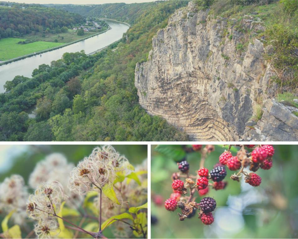 Laissez-Vous Enchanter Par La Vallee De La Meuse Hastiere-par-dela Exterior photo
